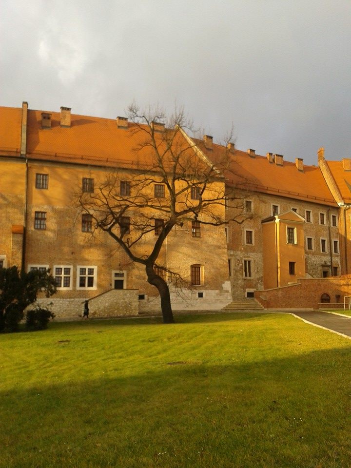 10431531_677313805700812_8349750200726573252_n